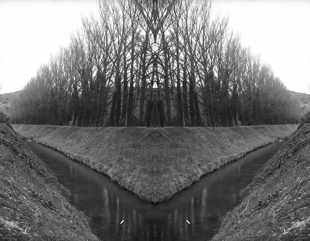 Untitled#1