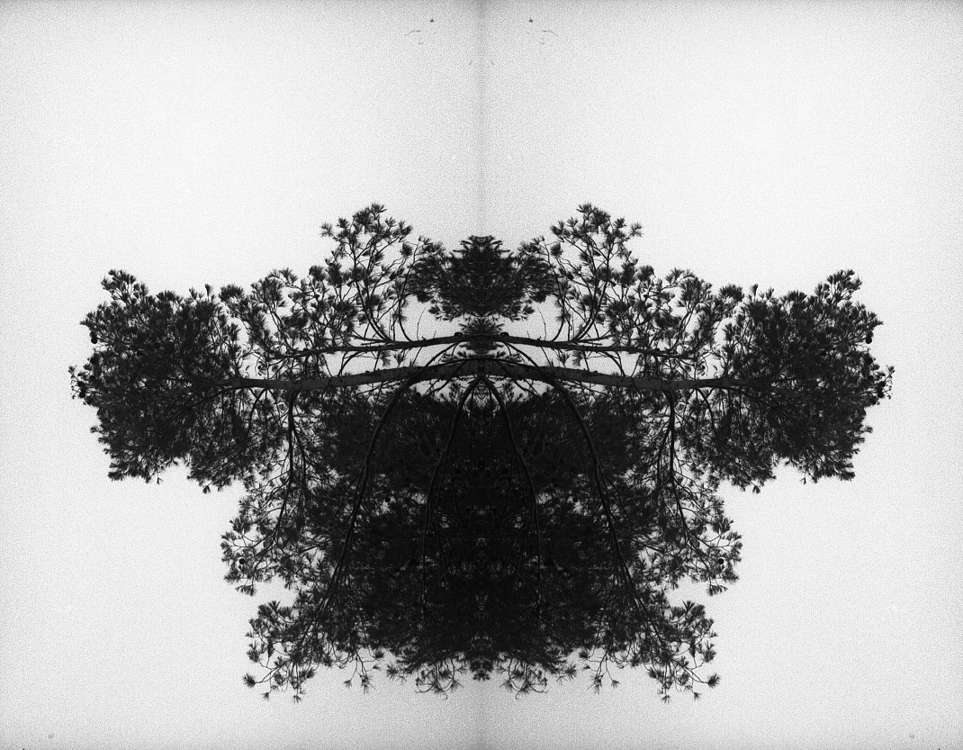 Untitled#1