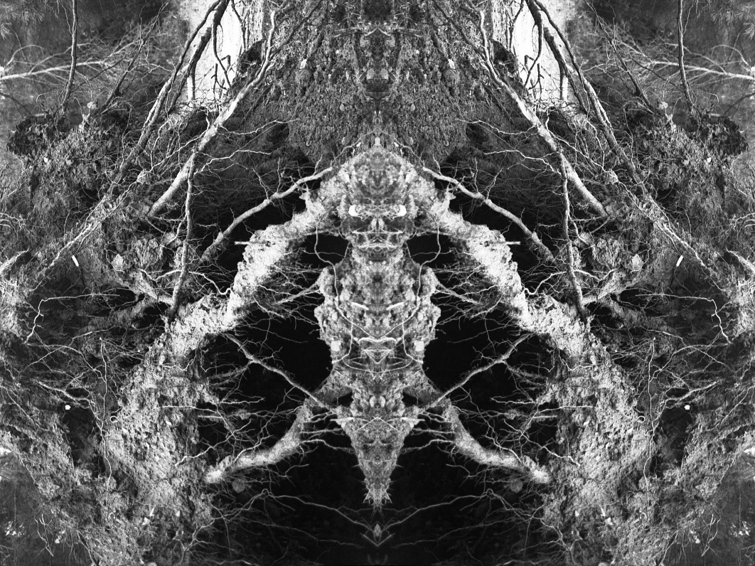 Untitled#1