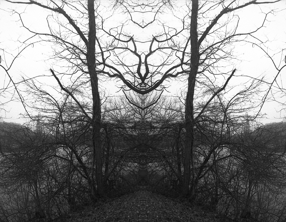 Untitled#1