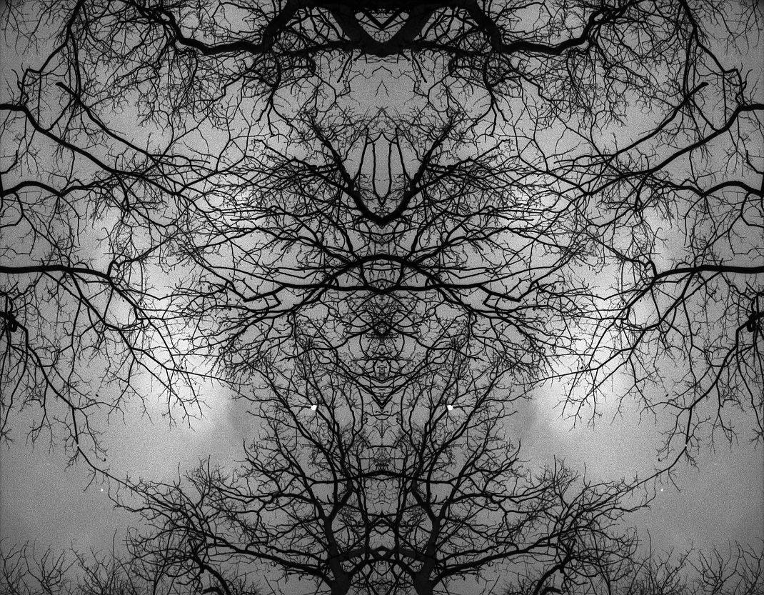 Untitled#1